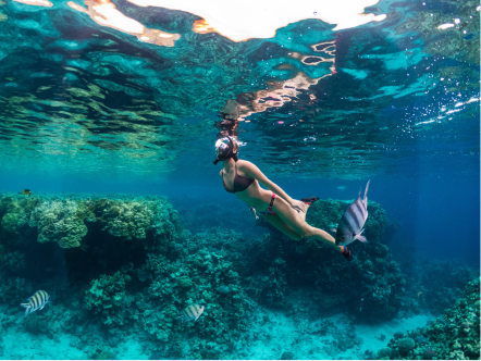A girl snorkeling gracefully ascends to the water's surface, taking a refreshing breath
